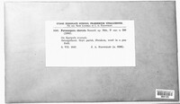 Image Associated With the Occurence